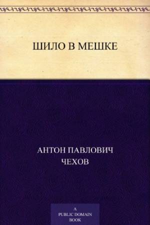 Обложка книги Шило в мешке